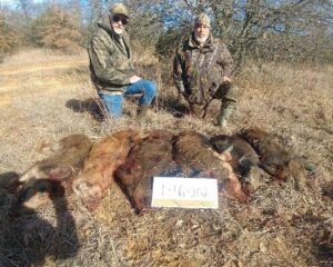 hog hunting in nc