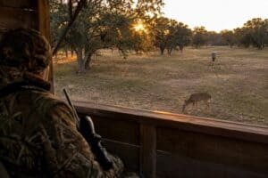Hunter in camouflage aiming from a box blind during a guided whitetail deer meat hunt at sunset on a Texas ranch