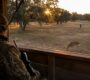 Affordable_whitetail_hunt 90x80