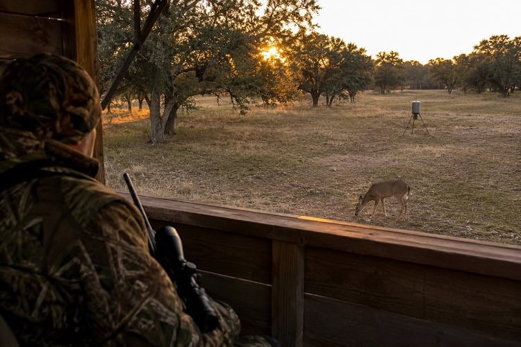 Hunter in camouflage aiming from a box blind during a guided whitetail deer meat hunt at sunset on a Texas ranch