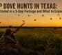 Texas dove hunts 1 90x80